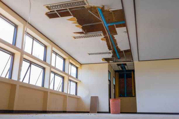Best Fire Damage Restoration  in Mount Ephraim, NJ