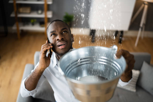 Best Commercial water damage restoration  in Mount Ephraim, NJ