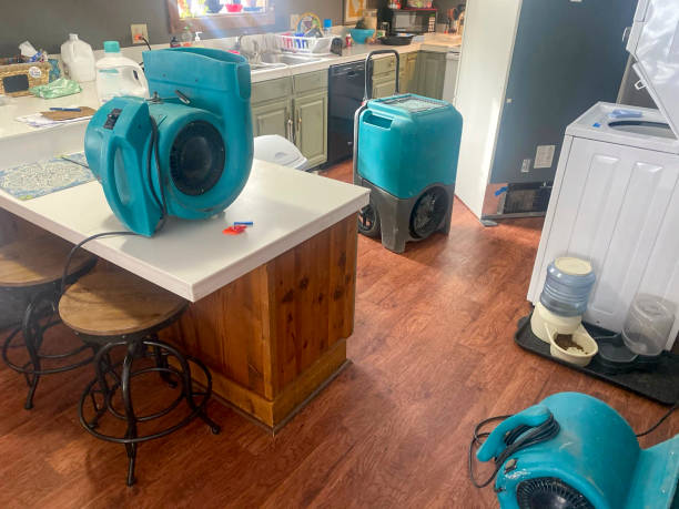 Best Residential water damage restoration  in Mount Ephraim, NJ