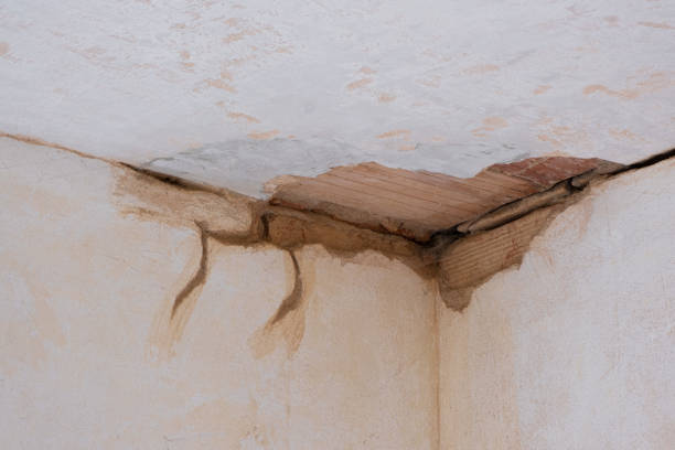 Best Sewage cleanup and water damage restoration  in Mount Ephraim, NJ
