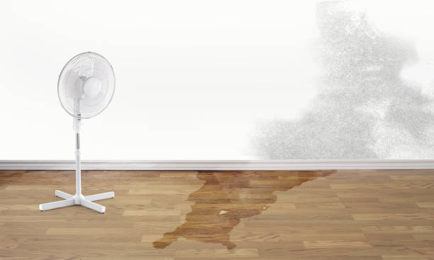 Best 24-hour water damage restoration  in Mount Ephraim, NJ