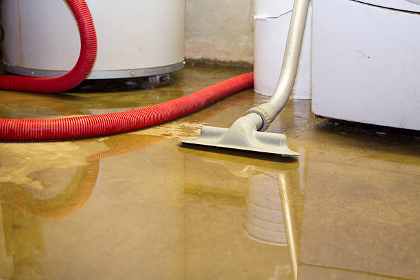 Best Basement water damage restoration  in Mount Ephraim, NJ