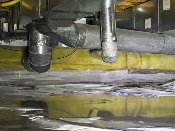 Best Carpet water damage restoration  in Mount Ephraim, NJ