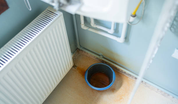 Best Water damage restoration mold remediation  in Mount Ephraim, NJ