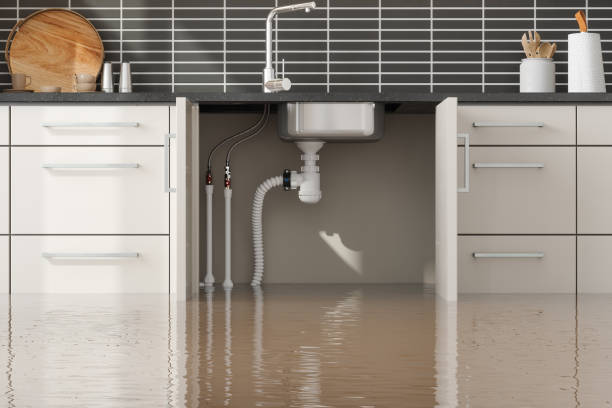 Best Commercial water damage restoration  in Mount Ephraim, NJ