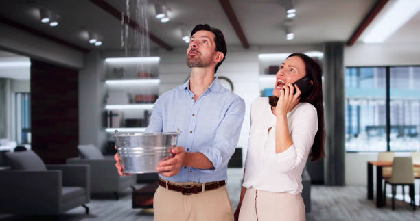 Best 24-hour water damage restoration  in Mount Ephraim, NJ