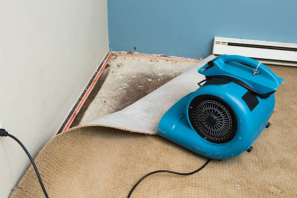 Best Carpet water damage restoration  in Mount Ephraim, NJ
